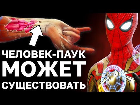 Видео: КАК СОЗДАТЬ ЧЕЛОВЕКА ПАУКА С ПОМОЩЬЮ СОВРЕМЕННОЙ НАУКИ. Самый реалистичный супер герой марвел.