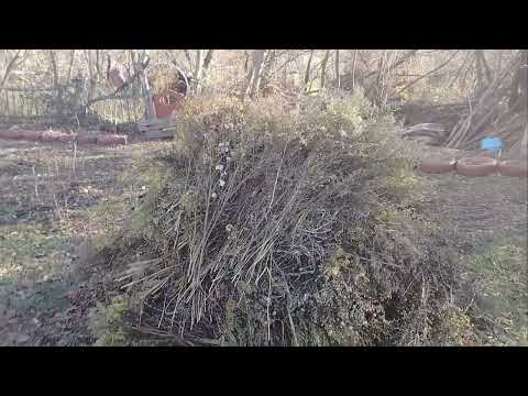 Видео: Чудесный денёк! Обычные дела.