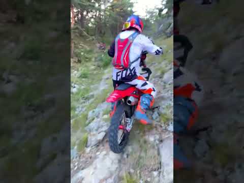 Видео: 15 октября 2025 г.