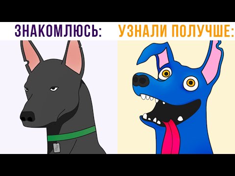 Видео: Я с любым новым другом))) Приколы | Мемозг 615