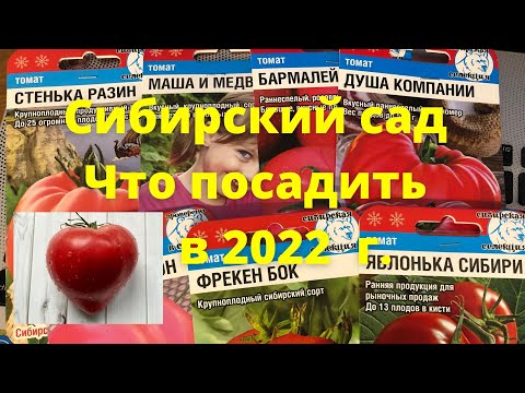 Видео: Какие томаты от Сибирского сада советую посадить, обзор сортов для теплицы и открытого грунта