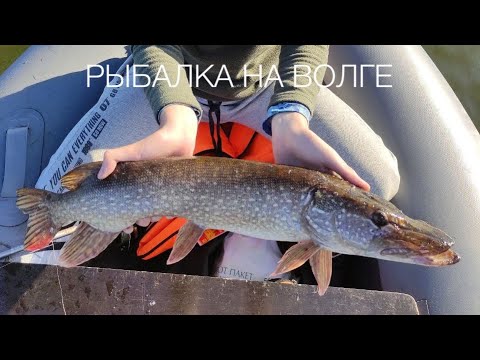 Видео: Хороший день на Волге. Щука на Pike Hunter