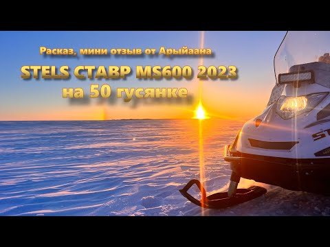 Видео: Stels Ставр MS600. обзор