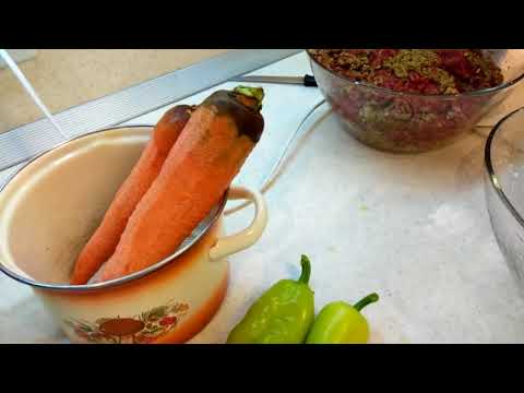 Видео: Фарш для дискусов