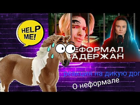 Видео: Неформал задержан | реакция на дикую дог о неформале | @dikaia_dog