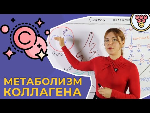 Видео: Метаболизм коллагена