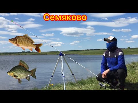 Видео: Обзор рыбалки/Бешенный клёв/ Семяково #Татарстан#2024#рыбалка#fishing