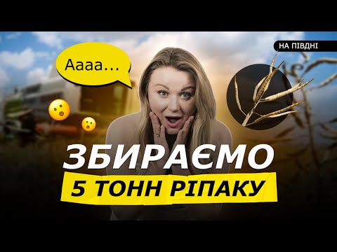 Видео: ЦІ РІПАКИ ВСИПАЛИ ПО 5 ТОНН У ЗАСУХУ! 🤯 НАЙУРОЖАЙНІШІ ГІБРИДИ ПІВДНЯ