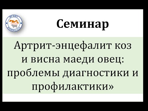 Видео: Запись семинара «Артрит-энцефалит коз и висна маеди овец: проблемы диагностики и профилактики»
