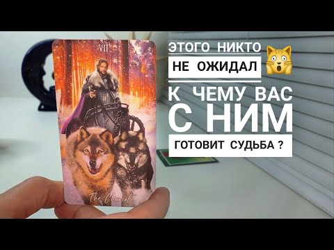 Видео: К ЧЕМУ ВАС С НИМ ГОТОВИТ СУДЬБА ⁉️ПРЕДНАЗНАЧЕНИЕ ВАШЕЙ ПАРЫ💫