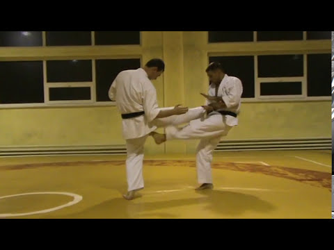 Видео: #Мотоха Йошин рю Дзю Дзюцу - перших 10ть технік (#Motoha Yoshin ryu Jiu Jitsu - first 10 techniques)