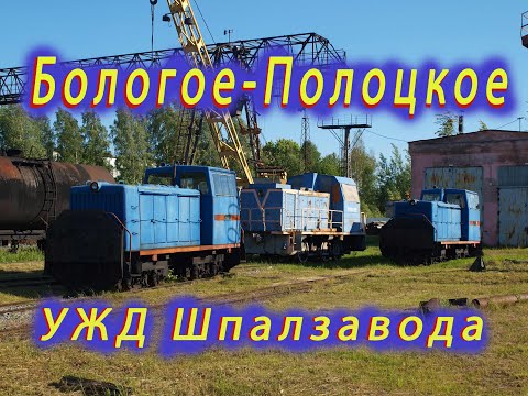 Видео: Узкоколейка Бологовского шпалопропиточного завода. Narrow-gauge railway in Bologoye