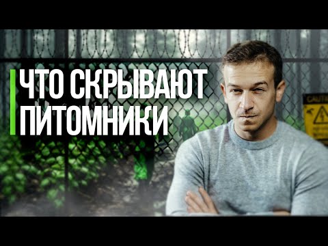Видео: Питомник Рябининых 🌿 Обзор растений для сада и ландшафтного дизайна под ключ