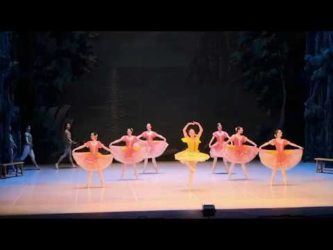 Видео: Цезарь Пуни, балет "Наяда и Рыбак", МОГТ "Русский балет"