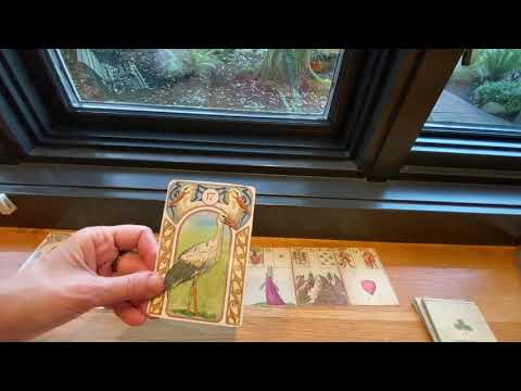 Видео: Какие счастливые повороты готовит судьба а Вы еще о них не знаете❤️Что хорошего на пороге 🙏💯Колена