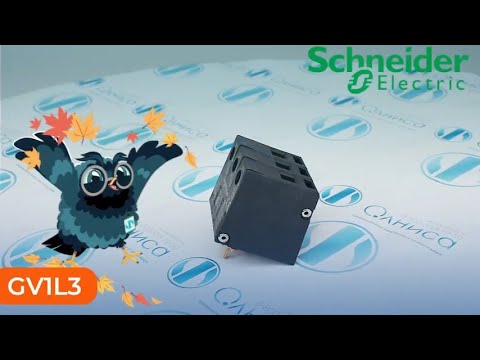 Видео: GV1L3 Ограничитель тока Schneider Electric - Олниса