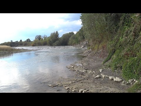 Видео: Річка Прут \ поплавок + спінінг