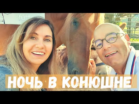 Видео: романтический вечер| ферма в Швейцарии | конюшня| швингеры