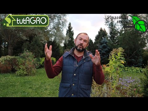 Видео: Если ЖЕНЩИНА не права, МУЖЧИНА должен извиниться! Нужна ли рубрика КРАСНЫМ СТЕРЖНЕМ?