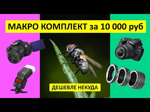 Видео: Макросъемка за 10 000 рублей - самый бюджетный комплект