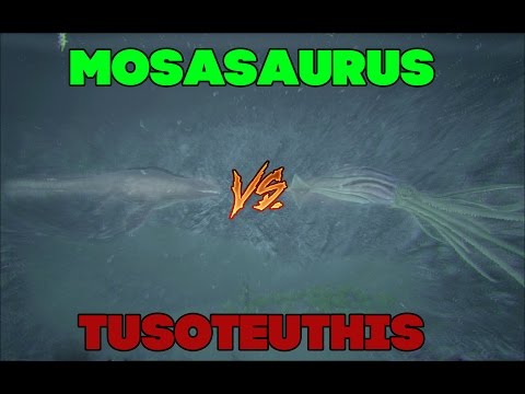 Видео: Битва в АРК|Мозазавр против Тусотериуса|Mosasaurus vs Tusotheithis