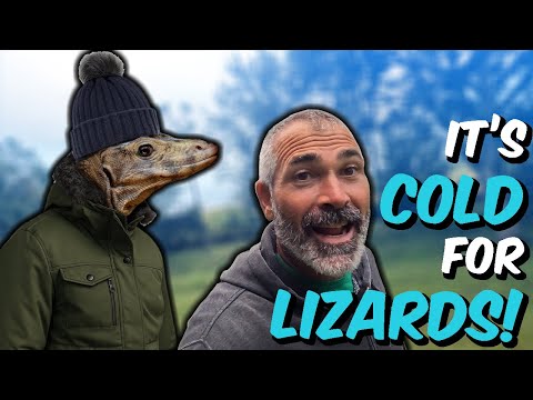 Видео: Зима уже здесь! Экстренная подготовка к зиме