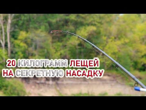 Видео: ЛУЧШАЯ РЫБАЛКА В ЖИЗНИ НА ФИДЕР! ЛЕЩ КЛЮЁТ в августе 2025 (1 часть)