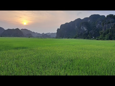 Видео: Вьетнам | Ниньбинь по следам Кинг-Конга лодочная экскурсия Trang An, гостиница, цены