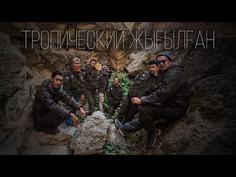Видео: Тропический Жығылған: Откуда следы? Кто обитает в озере?