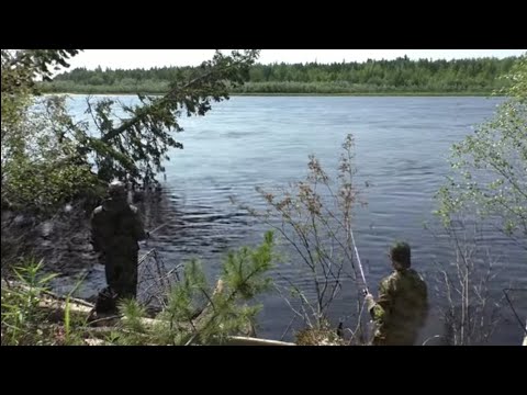 Видео: ВОТ ЭТО МЫ НАРВАЛИСЬ НА МОХТИКА!! НЕ ЗРЯ ПОЛ ДНЯ КАТАЛИСЬ ПО ВСЕ РЕЧКЕ!! КЛЮЕТ НА КАЖДОМ ЗАБРОСЕ!!