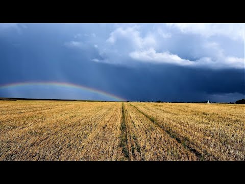 Видео: Действие и Состояние