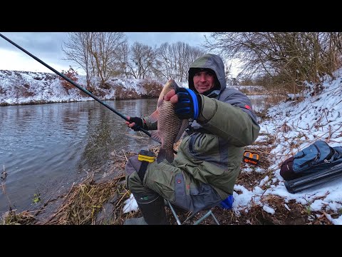 Видео: Ловля КАРАСЯ в проводку !!! р.Горинь