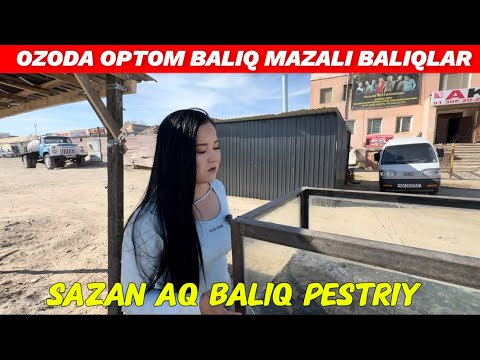 Видео: ОЗОДА ОПТОМ БАЛЫКЛАР ТИРИ БАЛЫК КУУЫРЫУ ХАММЕСИ БАР 
