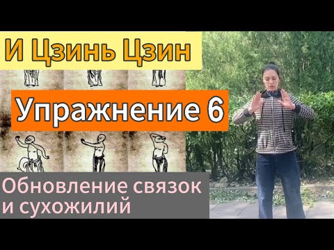 Видео: И Цзинь Цзин. Шестое движение.«Расправить крылья, выпустить когти». Дарья Патока. Урок3