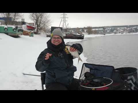 Видео: Ловля в Лыткарино на фидер Cadence CR10 13ft #3, катушку CS10 5000 Feeder и подсачек CP10 4.20M