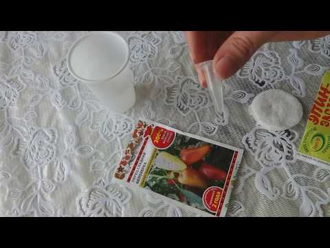 Видео: Замачивание семян перед посадкой в Эпин-экстра!