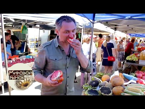 Видео: Владивосток. Москва-гребешки. Мировой рынок