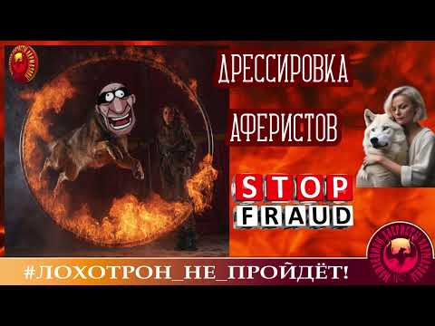 Видео: 🔥✅ДЕБЮТ АВТОРА С НИКОМ PRIMA. ДРЕССИРОВКА МОШЕННИКОВ УДАЛАСЬ. ГРУЗИЛИСЬ БЕЗ СУЕТЫ И НАПРЯГА.