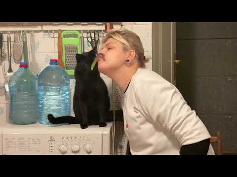 Видео: Cat Muri cooking sushi: кот и огурцы, кот готовит суши