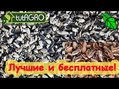 Видео: БЕСПЛАТНО и ОЧЕНЬ ПОЛЕЗНО! ШЕЛУХА, ЛУЗГА и СКОРЛУПКИ - ВОТ САМЫЕ ЦЕННЫЕ УДОБРЕНИЯ! Как использовать.