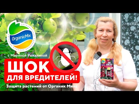 Видео: Шок для вредителей! Средства защиты от тли, трипсов, насекомых, клещей - Марина Рыкалина советует!