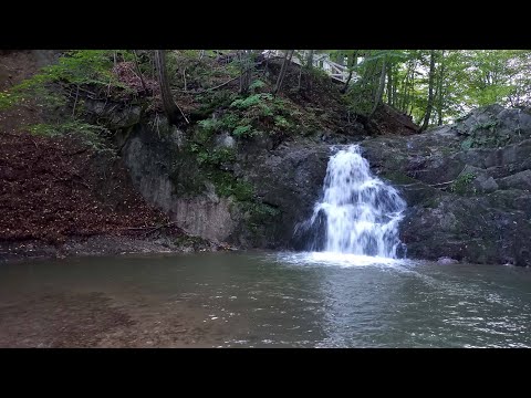 Видео: Шешори. Шалені вихідні.