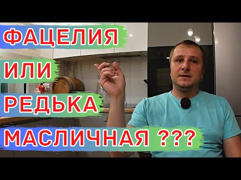 Видео: Культуры, РАЗУПЛОТНЯЮЩИЕ ПОЧВУ! Как Выбрать. Горчица, фацелия и редька масличная.