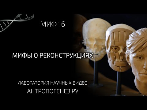 Видео: Мифы о реконструкциях. Мифы об эволюции человека.