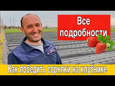 Видео: Как победить сорняк на клубнике (в подробностях ).