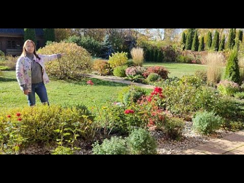 Видео: Видео журнал "СОФ №91" МАЛЕНЬКИЙ САД. Его реконструкция и новое лицо