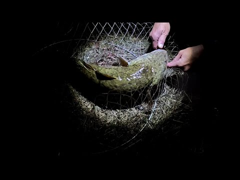 Видео: ВПЕРВЫЕ ВИЖУ ТАКОЕ. НАЛИМ НА ДВА КРУЖКА. Вот это отличное закрытие летнего сезона 