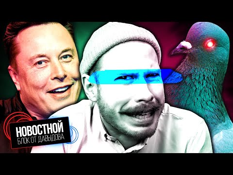 Видео: КИТАЙСКИЕ КИБЕР-ГОЛУБИ || Twitter при Маске || Самые быстрые ботинки