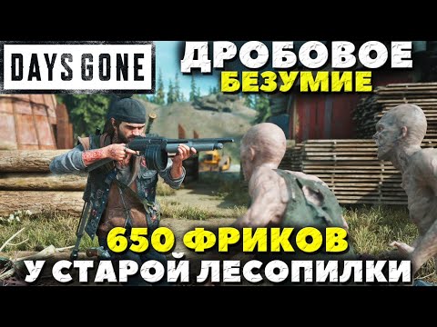 Видео: Days Gone(Жизнь После) - 650 Фриков у Старой Лесопилки! Дробовое Безумие!