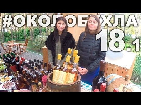 Видео: Алкосаммит в Пирогово 2015 ч.1. Косогоров, Родионов с сыновьями